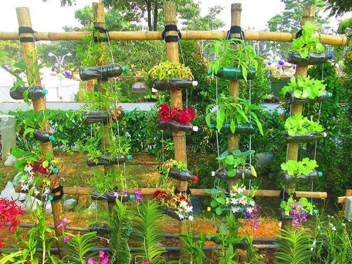 
Ảnh 16: Thiết kế sân vườn bằng vỏ chai nhựa là cách để bảo vệ môi trường
