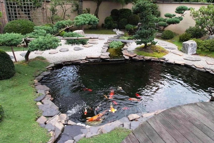 
Ảnh 9: Sân vườn với hồ cá giúp không gian trở nên sinh động, gần gũi với thiên nhiên
