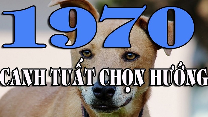 
Tuổi Canh Tuất nên chọn hướng nhà nào?
