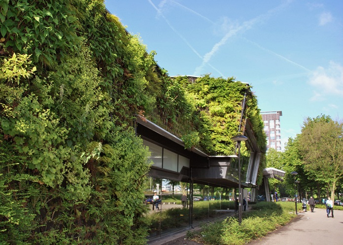 
Ảnh 18: Trung tâm thể thao xanh tại Hà Lan với thảm thực vật phong phú
