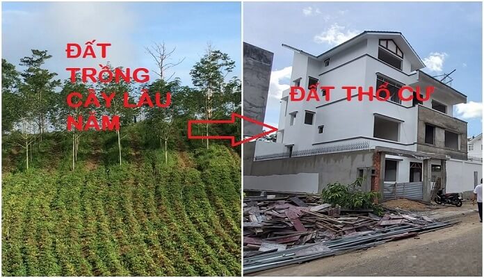  3. Điều kiện chuyển đất trồng cây lâu năm lên thổ cư