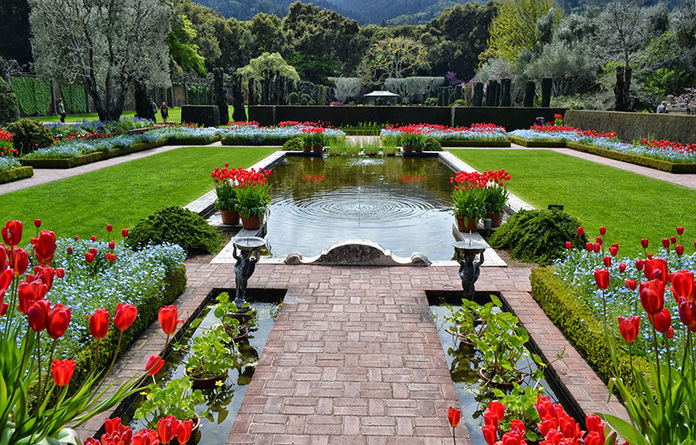 
Ảnh 23: khu vườn đầy hoa thơ mộng và đài phun nước mang hơi hướng Châu Âu tại nhà của bạn
