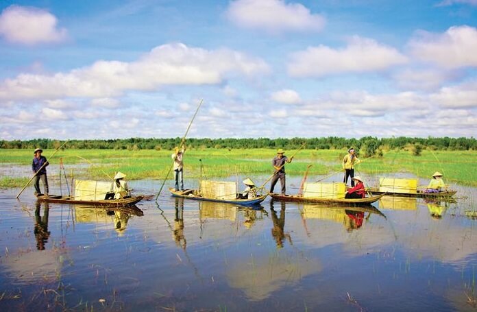 
4.Vùng du lịch, vùng cảnh quan, bảo tồn thiên nhiên tại huyện Cần Giuộc
