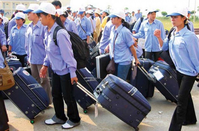 Hiếm khi có di cư ngược nghĩa là người miền nam ra bắc sống