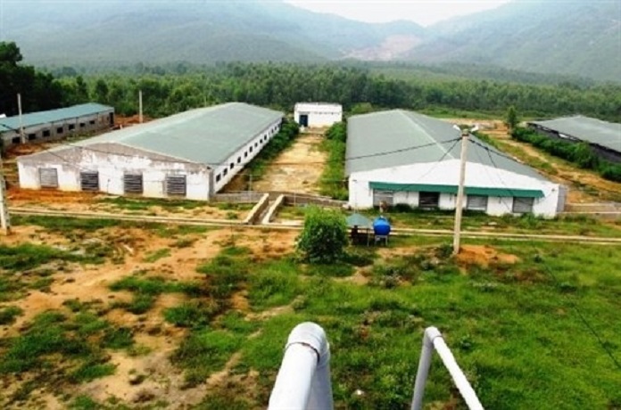 Cần xác định được đặc điểm vị trí đất phù hợp để lm trang trại