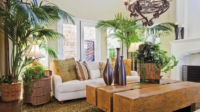Ảnh 10: Mẫu phòng khách tropical style tươi xanh với điểm nhấn là 3 bình gốm bắt mắt