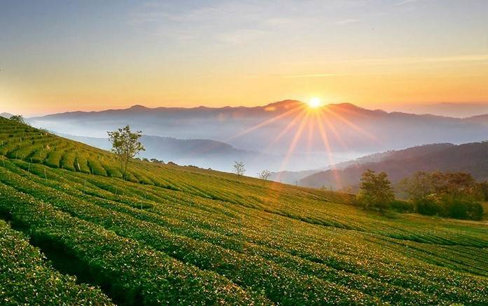05. Để chuyển nhượng đất sổ xanh cần thỏa mãn những quy định của pháp luật ( Nguồn - Internet)