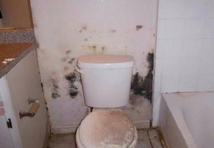 
Nhà vệ sinh bị thấm dột sẽ ảnh hưởng đến sức khỏe của người sử dụng
