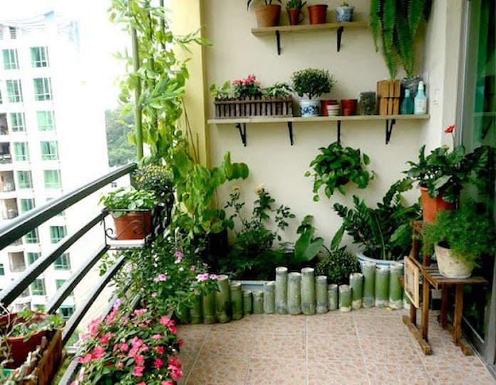  Ảnh 5: Một mẫu trang trí cây xanh trong nhà độc đáo ở vị trí ban công phòng khách