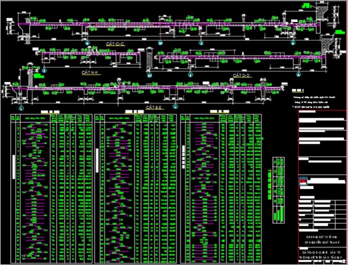 
Ảnh 2: Bản vẽ cad chung cư 15 tầng
