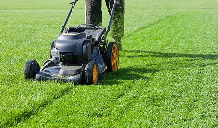  Ảnh 12: Cần cắt tỉa bề mặt cỏ sân vườn hàng tháng để tăng tính thẩm mỹ của chúng