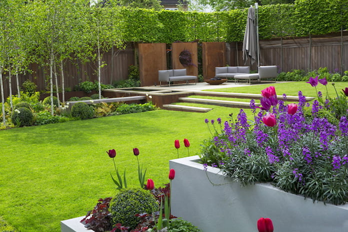  Ảnh 1: Cỏ sân vườn có tính thẩm mỹ cao, làm tăng thêm sự hấp dẫn cho toàn bộ không gian nhà