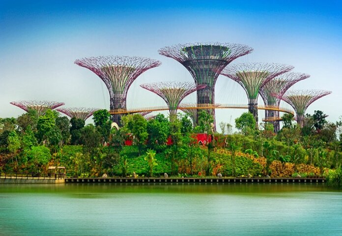 
Ảnh 7: Vẻ đẹp đặc biệt của Garden Buy The Bay tạo ra xu hướng mới mẻ phong cách kiến trúc Singapore
