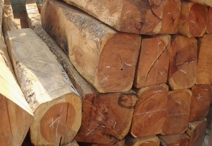 
Ảnh 6: Giá thành thiết kế gỗ gụ có thể lên đến hàng trăm triệu đồng
