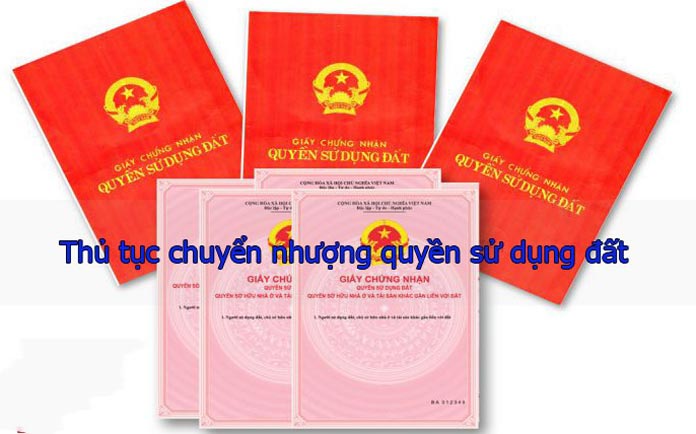  Ảnh 5: Giấy chứng nhận quyền sử dụng đất