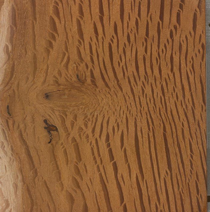
Ảnh 1:&nbsp;Lát cắt gỗ Australian Buloke cứng nhất thế giới
