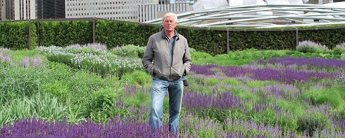 
Ảnh 4: Piet Oudolf là một nhà thiết kế cảnh quan sân vườn nổi tiếng người Hà Lan
