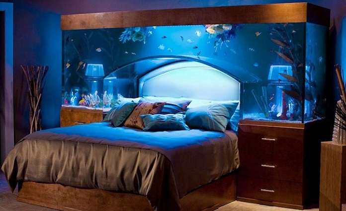  Ảnh 1: Có nên để bể cá trong phòng ngủ không?