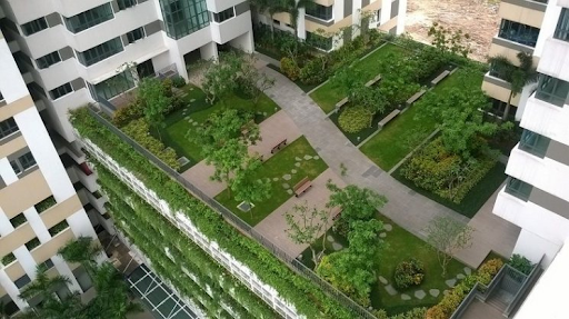 
Khu sân vường của Mulberry Lane
