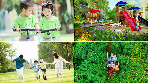 
Tiện ích sống cơ bản
