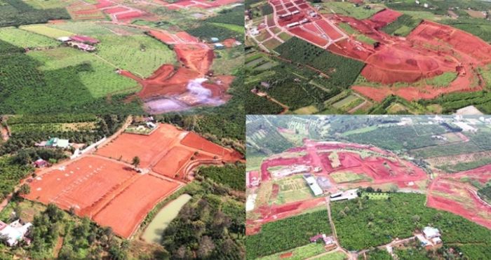 Các quả đồi bị "xẻ thịt".