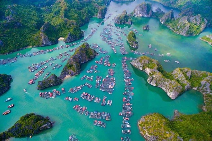 Phỏng cảnh tuyệt đẹp tại các địa danh du lịch nổi tiếng tại Hải Phòng