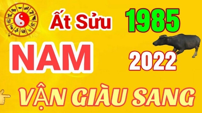 
Ất Sửu 1985 năm 2022 - Nam mạng giàu sang hú quý
