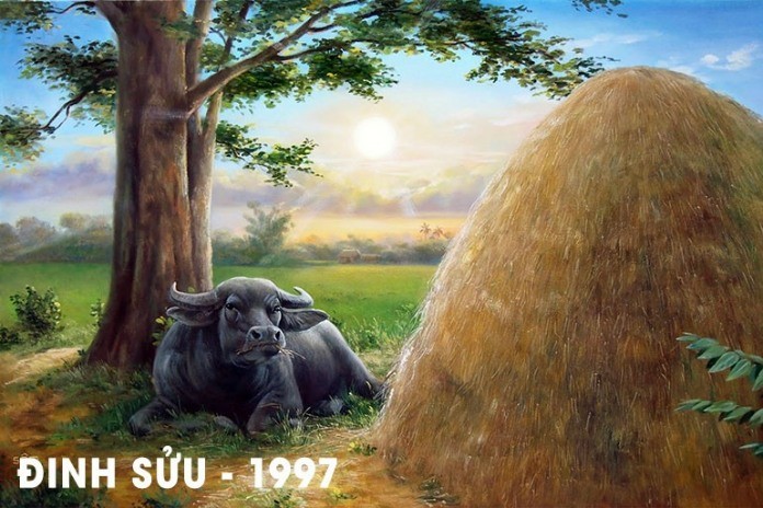 
Tử vi 2022 tuổi Đinh Sửu 1997
