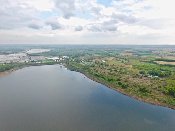 
Xu hướng tìm đất vườn, đất có view đẹp tại các tỉnh vùng ven TP. Hồ Chí Minh và Tây Nguyên đã nở rộ lên từ năm 2020 khi đại dịch COVID-19 bắt đầu xuất hiện
