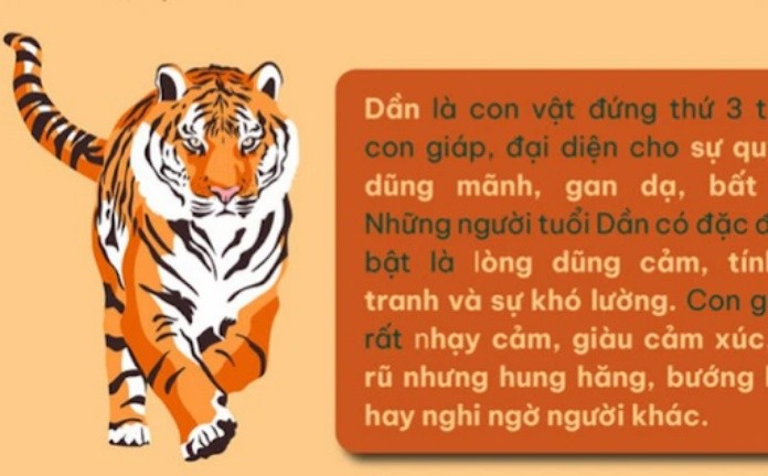 Người tuổi Nhâm Dần phải trải qua tiền vận vất vả