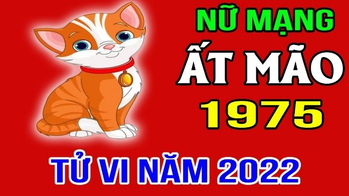 
Ất Mão 1975 nữ mạng trong năm 2022 được sao Mộc Đức chiếu mệnh nên thường gặp khá nhiều may mắn
