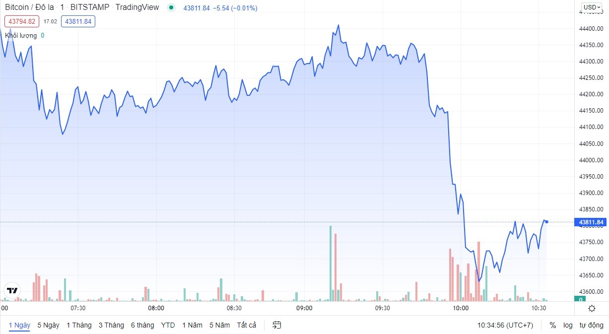 
Giá Bitcoin cập nhật lúc 10h30 ngày 10/2
