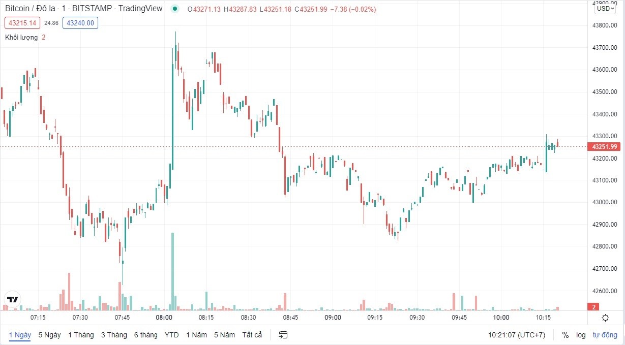 
Giá Bitcoin cập nhật lúc 10h20 ngày 11/2
