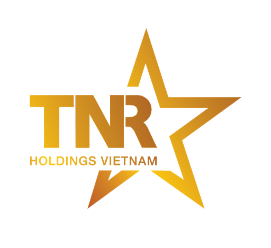 



Logo TNR Holdings

