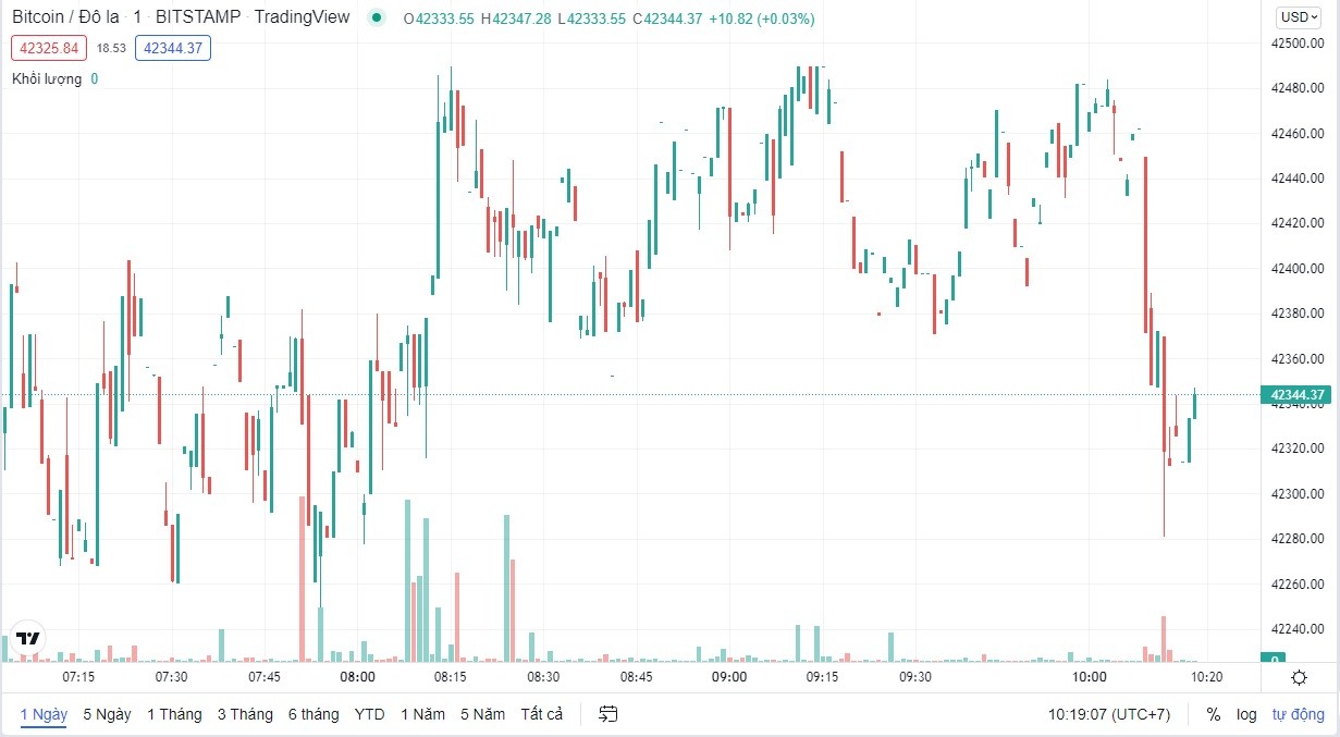 
Giá Bitcoin cập nhật lúc 10h20 ngày 12/2
