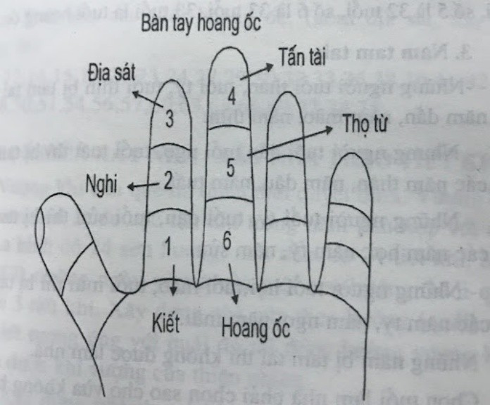 
Xác định cung Hoang ốc dựa theo quy luật các cung trên bàn tay
