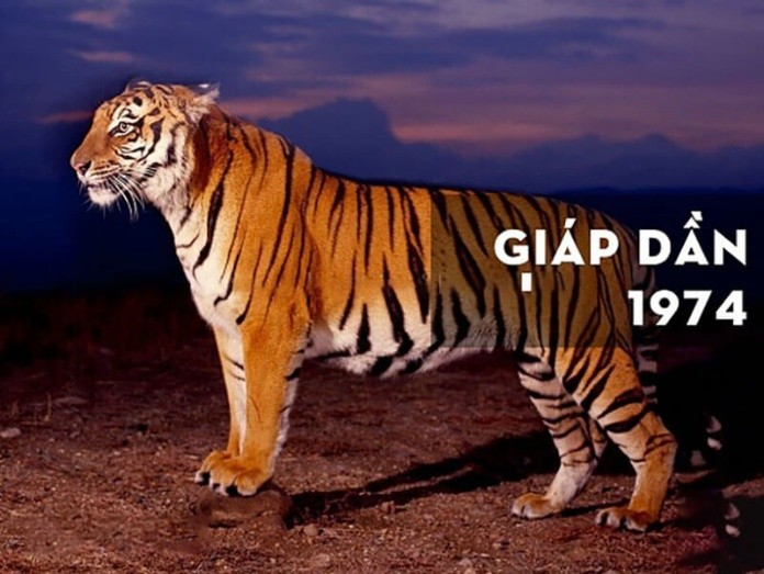 
Tam tai tuổi Giáp Dần 1974
