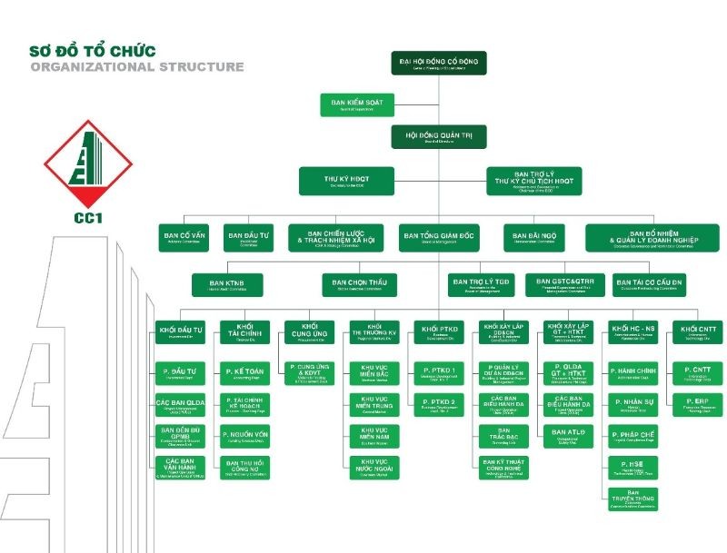 
Sơ đồ tổ chức của Tổng công ty CC1

