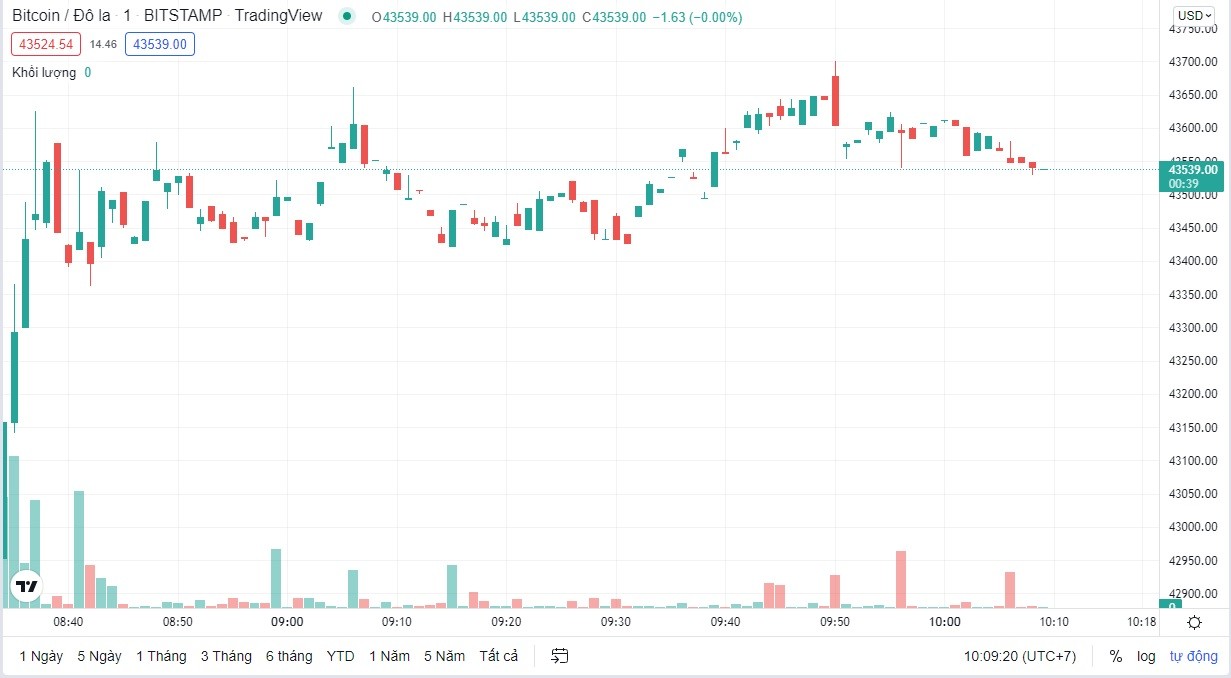 
Giá Bitcoin cập nhật lúc 10h10p ngày 15/2
