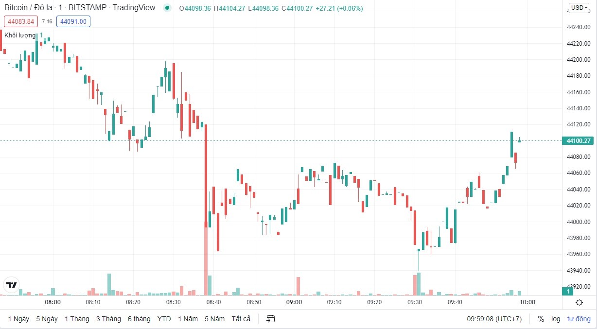 
Giá Bitcoin cập nhật lúc 10h ngày 16/2
