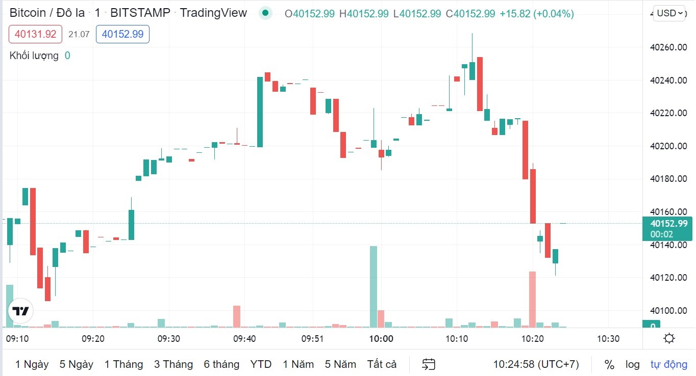 
Giá Bitcoin cập nhật lúc 10h25' ngày 19/2. Nguồn: TradingView
