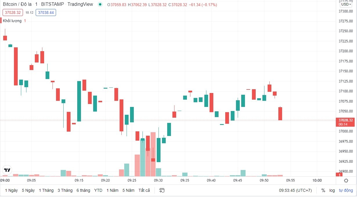 
Giá Bitcoin hôm nay cập nhật lúc 9h55' ngày 22/2. Nguồn: TradingView
