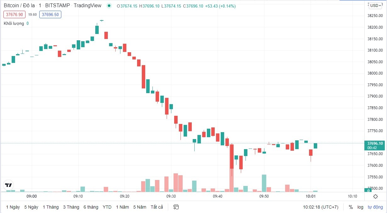 
Giá Bitcoin hôm nay cập nhật lúc 10h02' ngày 23/2. Nguồn: TradingView
