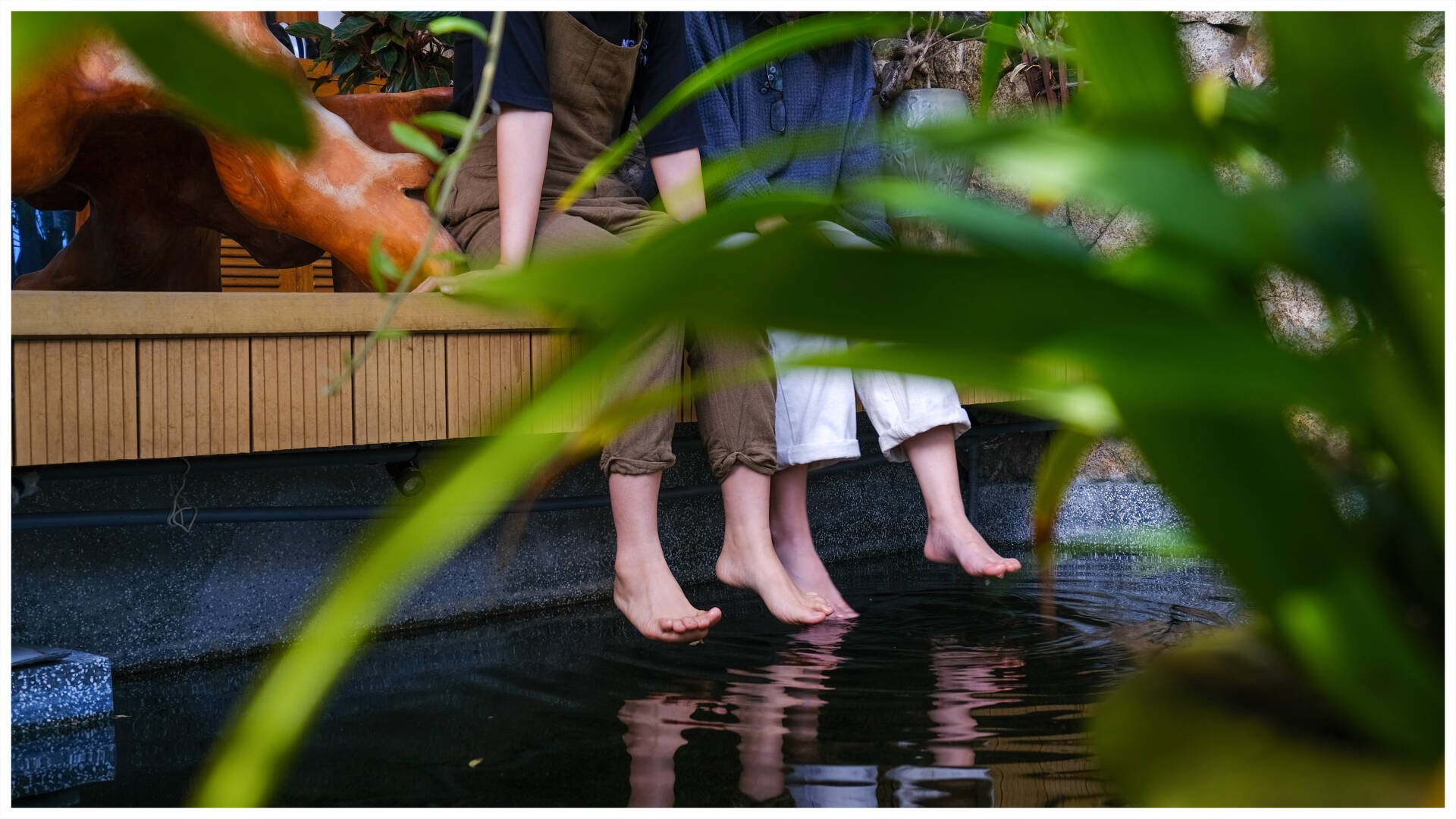 

Hồ cá Koi là nơi để các thành viên ngồi thư giãn, ngắm nhìn những chú cá bơi lội khiến người ta thấy bình yên&nbsp;
