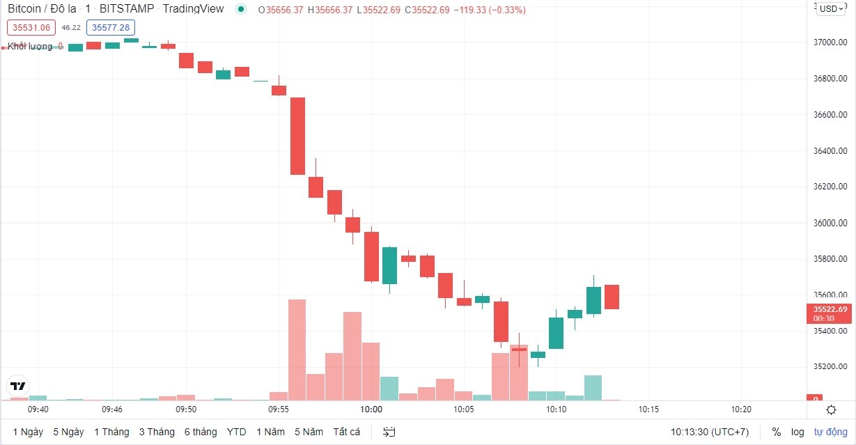 
Giá Bitcoin hôm nay cập nhật lúc 10h13' ngày 24/2. Nguồn: TradingView
