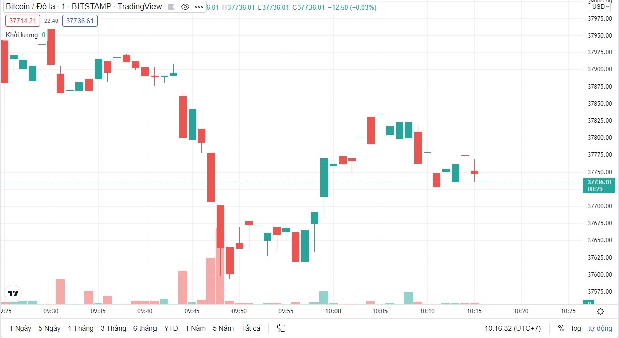 
Giá Bitcoin hôm nay cập nhật lúc 10h15' ngày 28/2. Nguồn: TradingView
