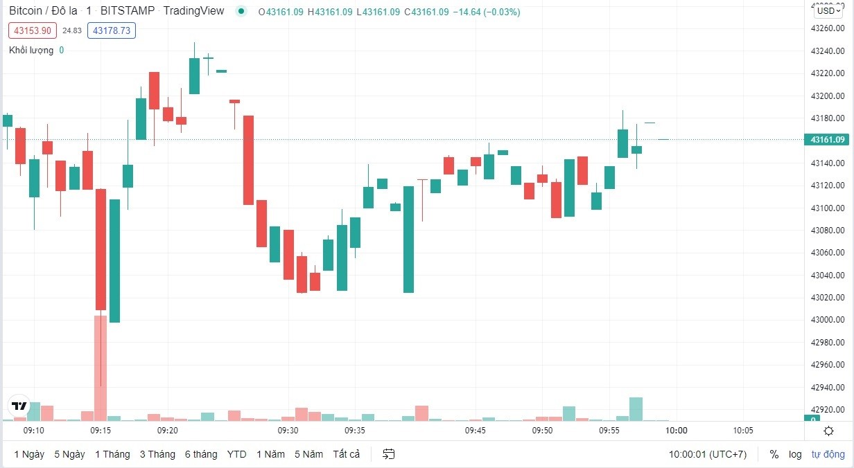 
Giá Bitcoin hôm nay cập nhật lúc 10h ngày 1/3. Nguồn: TradingView
