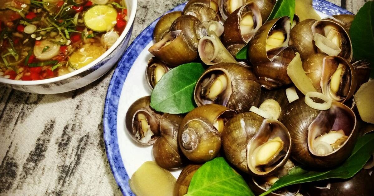 

Người xưa có câu "ăn ốc nói mò"
