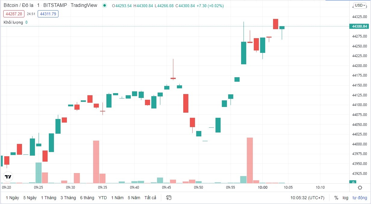 
Giá Bitcoin hôm nay cập nhật lúc 10h05 ngày 2/3. Nguồn: TradingView
