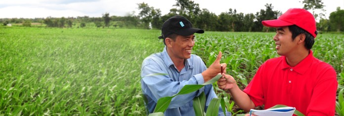 
Ngành thức ăn chăn nuôi - Feed công ty C.P. Việt Nam
